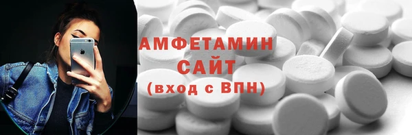 индика Зеленодольск