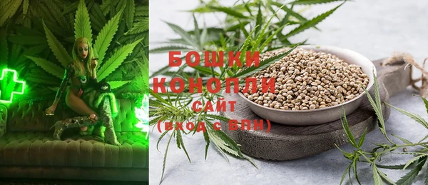 ГАЛЛЮЦИНОГЕННЫЕ ГРИБЫ Пестово