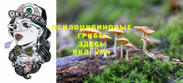 гашиш Осинники