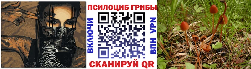 blacksprut онион  Краснокаменск  Псилоцибиновые грибы Magic Shrooms 