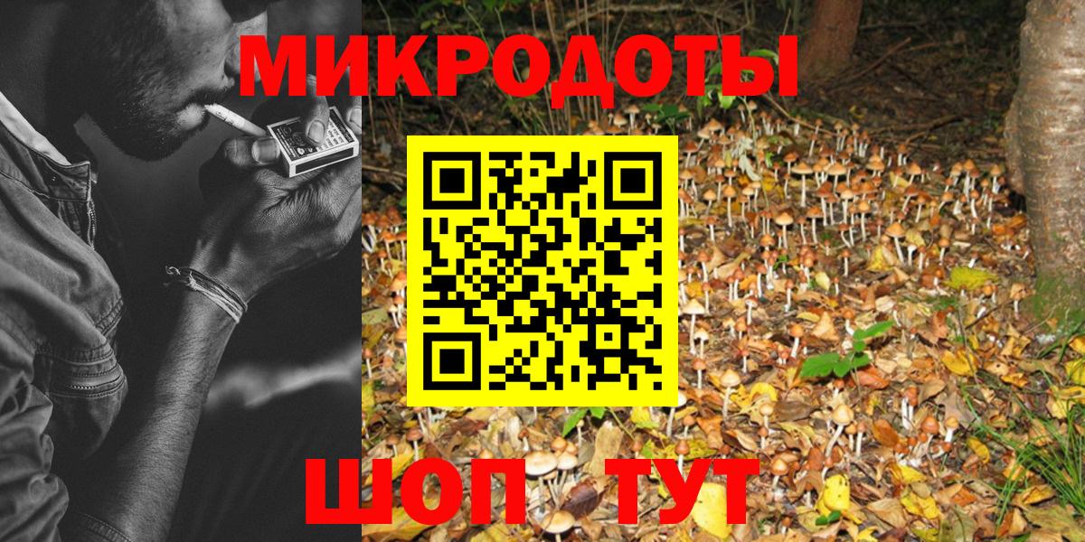 Галлюциногенные грибы Psilocybine cubensis  Краснокаменск 