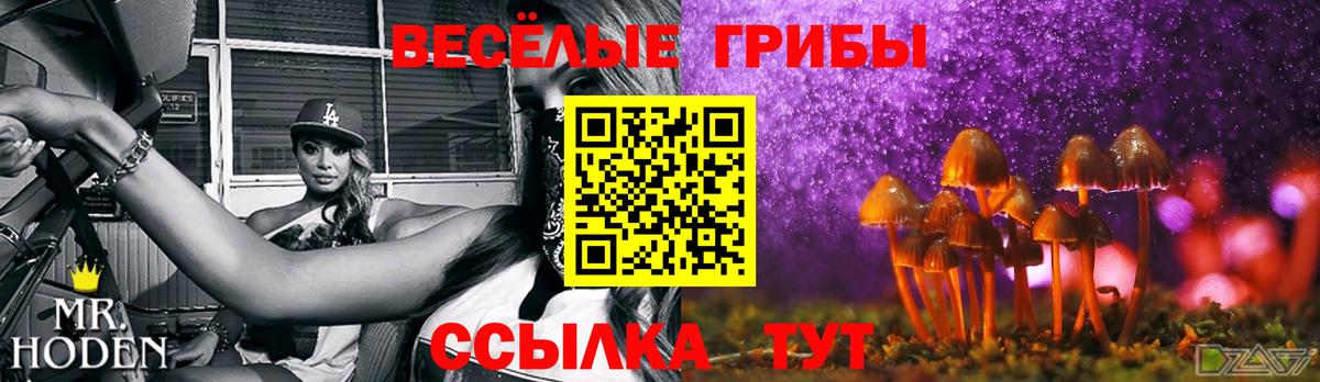 Галлюциногенные грибы Cubensis  Вход с VPN  Краснокаменск 